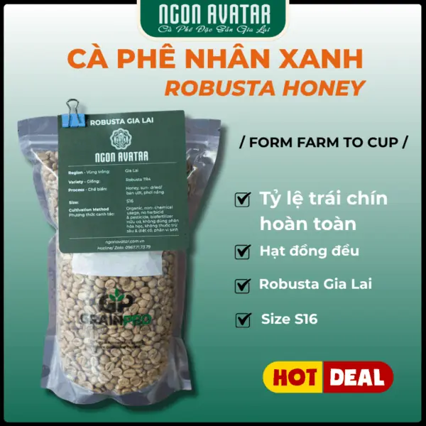 Cà phê nhân xanh Robusta Honey s16 túi 1kg